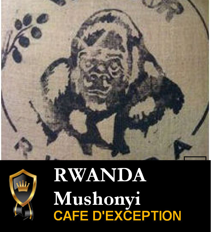 Caf� du RWANDA Mushonyi